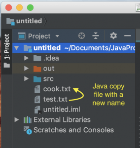 Java Copy File example output