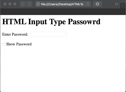 Show Password Text Characters password input