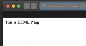 HTML Paragraph tag example output