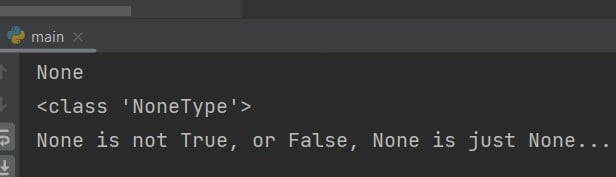 none-type-python