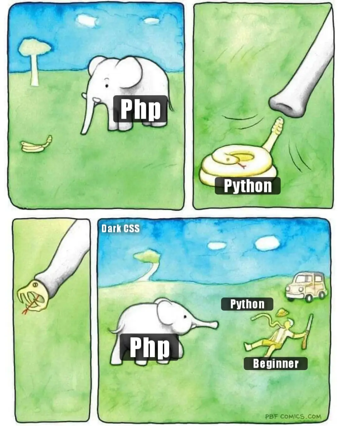 Python programming language memes